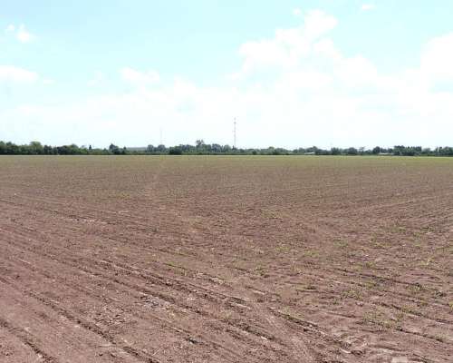 San Nicolás, Buenos Aires - 40,8 Ha