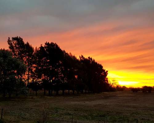 Lindísima Chacra en Excelente Sector de Capilla del Señor