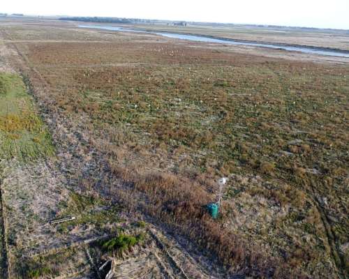 Salvador Maria, Lobos (bs. As.): 130 HA. Contra el Salado