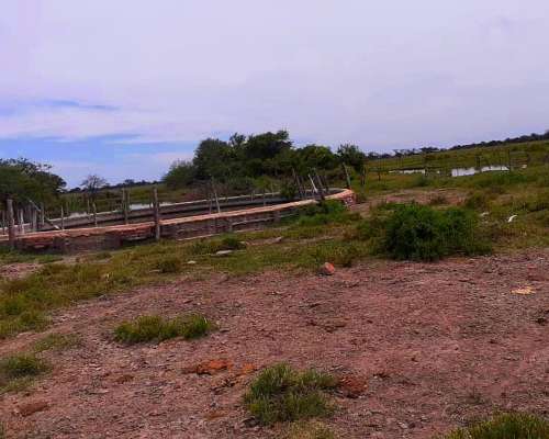 Dueño Vende Campo Gato Colorado Agricola Ganadero