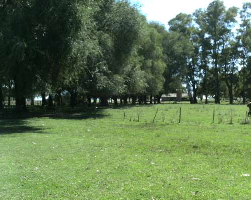 Campo Mixto Roque Perez
