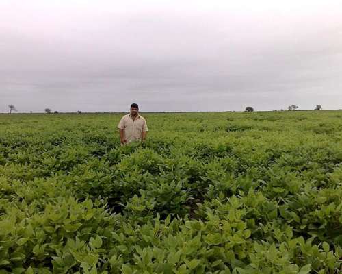 2100 Hectareas en Santiago del Estero (departamento Capital)