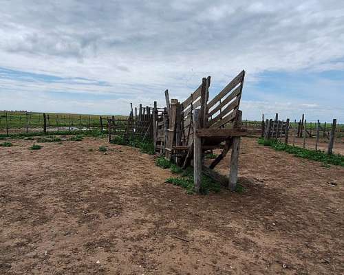 Venta Campo 665 Has Tornquist