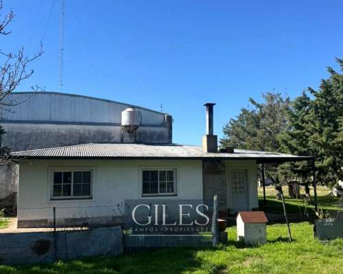 Campo Mixto 80 Hectáreas C/mejoras