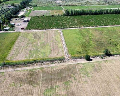 Finca de 32 con D° Riego y Pozos