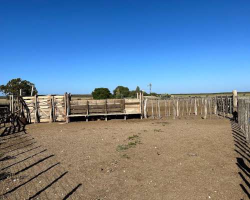 5021 Has. Patagones - Rio Negro