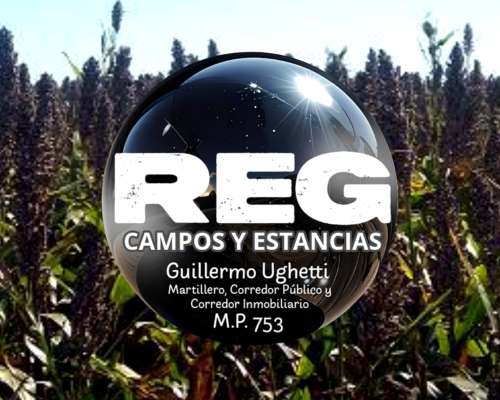 900 Has - Bordenave, BS AS