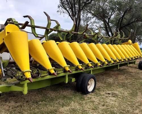 Cabezal Maicero Usado Alliochis