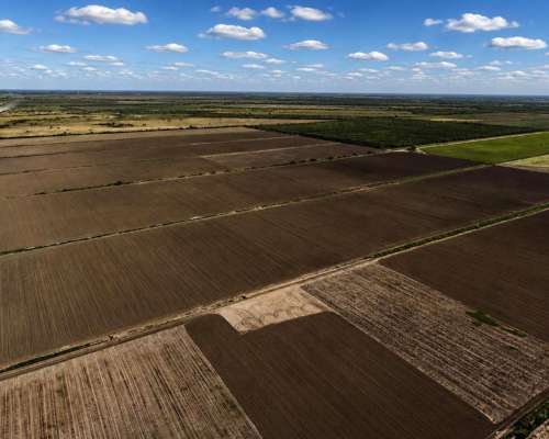 Fernández, Robles, Santiago del Estero - 1.098 Ha