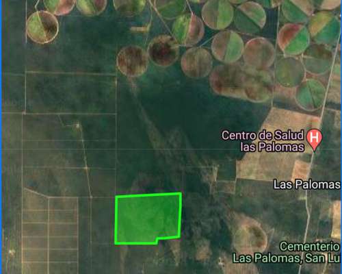 Campo las Palomas-san Luis
