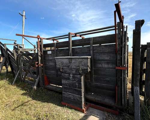 Campo en Venta Colonia Belgrano 287 Has Ganaderas