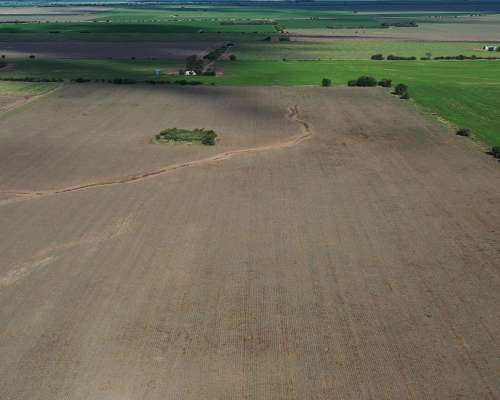 Córdoba Despeñaderos al SUR 50 Has Agrícolas