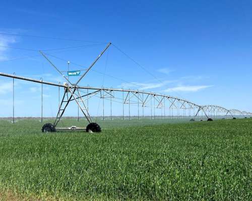 Exc. Campo Agrícola con Riego Pivot, los Cerrillos, San Luis