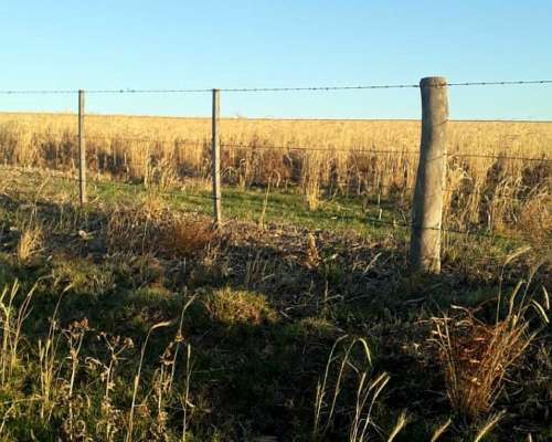 Campo en Venta – Zona Chaján 313 Hectáreas