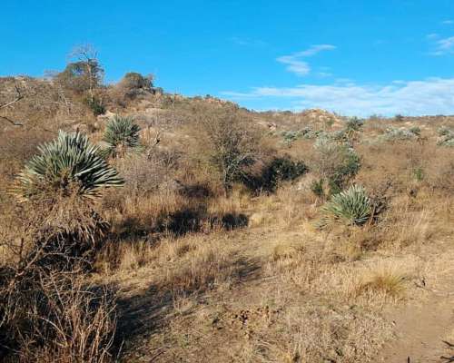 Campo de 62 Ha con Río Propio, Escritura. Caminiaga, Córdoba