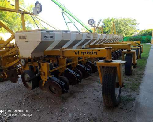 Ascanelli RS 2000. de 13 a 52 CM. sin Fertilización .