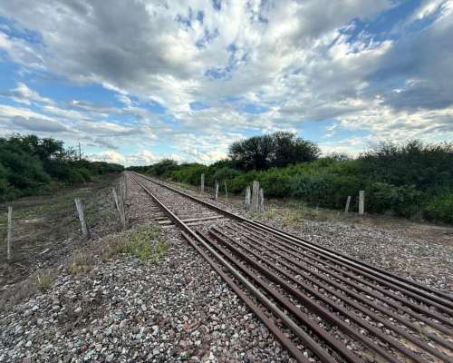 Remax Vende Campo Ganadero Sobre Ruta 34 Mailin