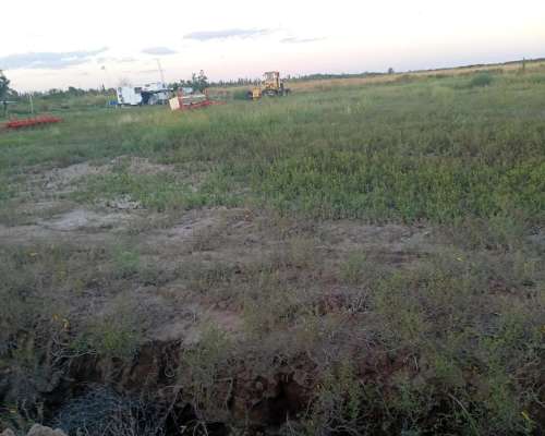 Las Catitas (mendoza) 298 Has/ Autopista