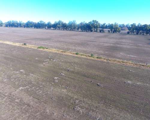 Zárate -378 HA- Buenos Aires