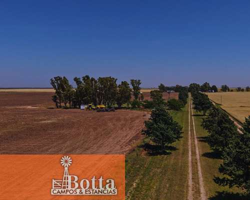 627has en Venta en Alpachiri, la Pampa. Campo Agricola