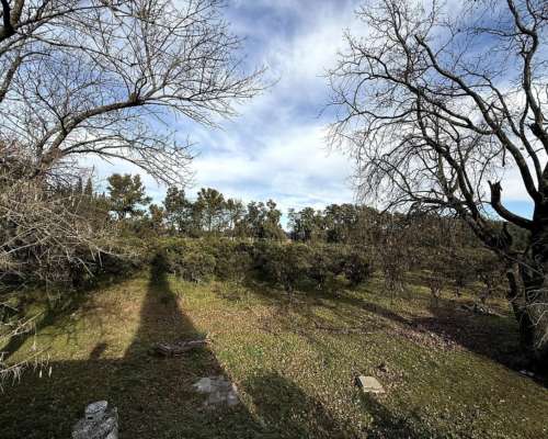 Campo de 10 Hectáreas