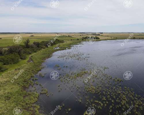 530 Has en Lezama - Hermosas Vistas a la Laguna