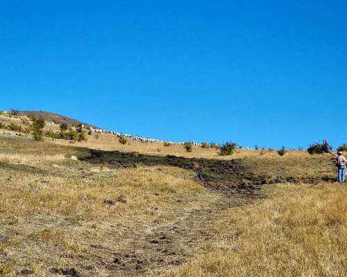 Campo Mixto en Esquel, Precordillera