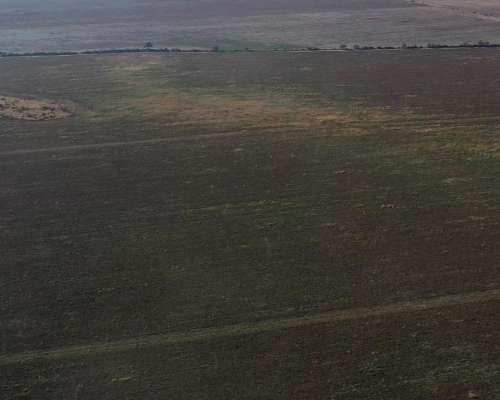 Santiago del Estero Lavalle 1200 Has Agricolas