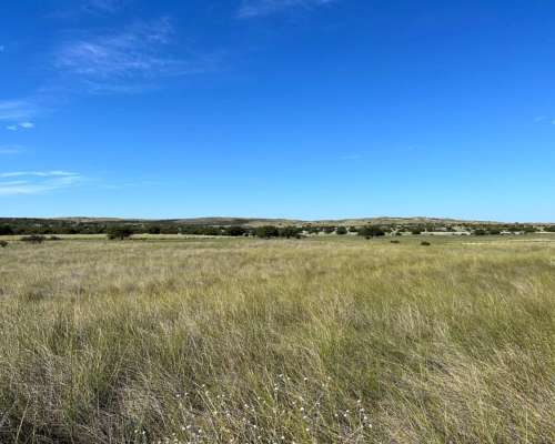 Establecimiento 2580 Ha Venta