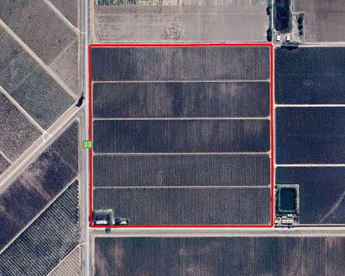 Finca Productiva en Venta 25 HA– Colonia los Álamos, Maipú