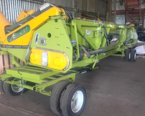 A 42 Maicero Alliochis 16 a 42