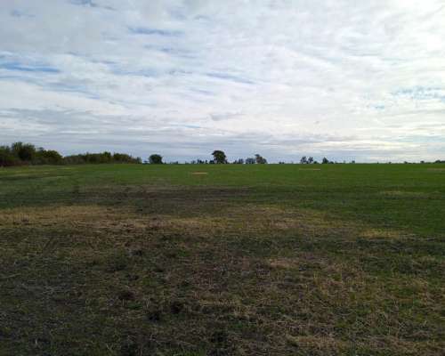 112 Ha Don Cristobal. 80 Ha Agrícolas