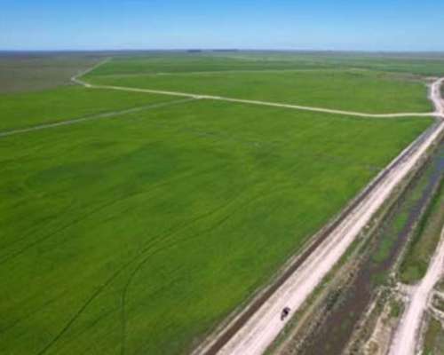 Estancia de 14000 Hectareas Corrientes