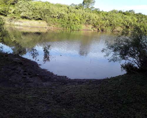 Campo Mixto 286 Hectareas