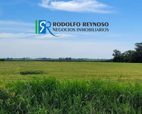 Campo en Entre Ríos - Colonia Elía