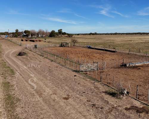 Venta Campo Mixto. 196 HA. la Camila, Santa FE.