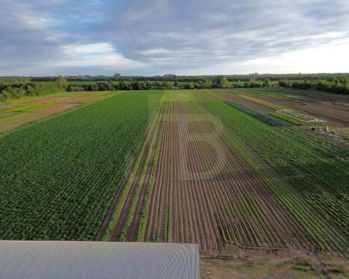 Terreno de 8 Ha Zona Sur, Córdoba