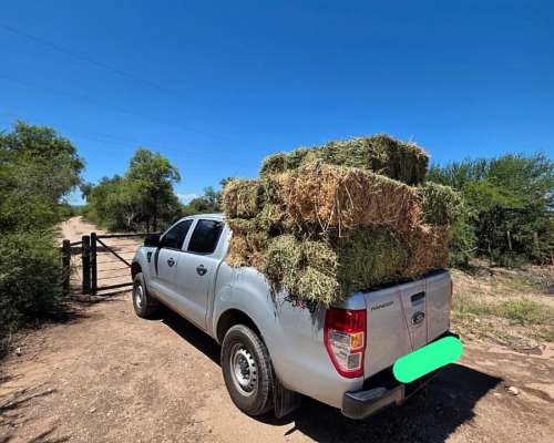 Campo Ganadero 1.778 HA. Cruz del Eje, Córdoba