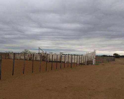 Campo en Venta Zona San Luis