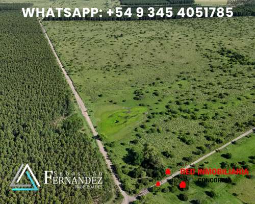 65 + 48 Has. Zona Forestal