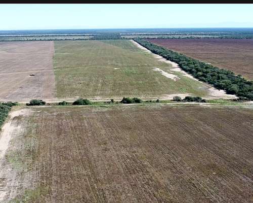 Arriendo 700 Has Agrícolas en Anta