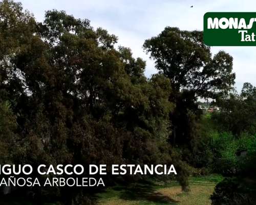 Fracción Pilar del Este - 26 Has - Área Des. Inmobiliarios