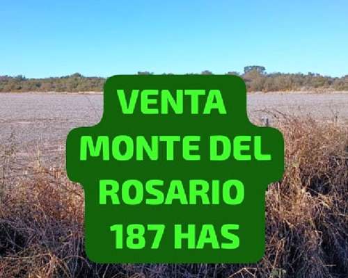 187 Has Monte del Rosario Córdoba
