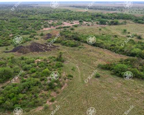 Campo en Venta de 1150 Has en Formosa. Cerca de Ruta Nac. 11