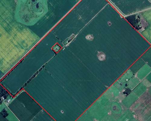 Pcia. Buenos Aires, General Belgrano - 156 Has