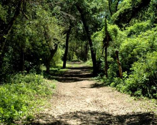 Campo de 500 Ha - Chaco - Monte