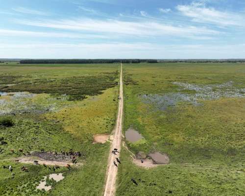 Pcia. de Corrientes - Pago de los Deseos 254 Has