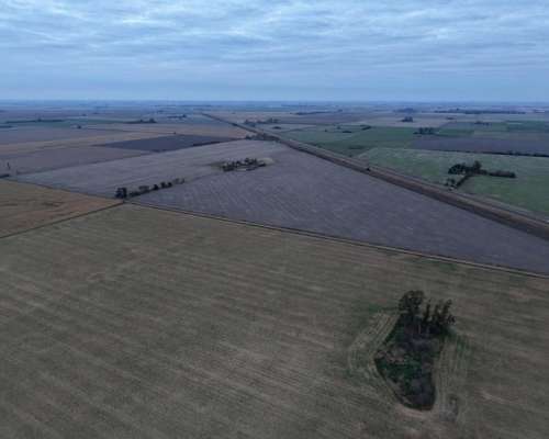 40 HA. Suelo Clase 1 Sobre Ruta. San Genaro (santa FE)