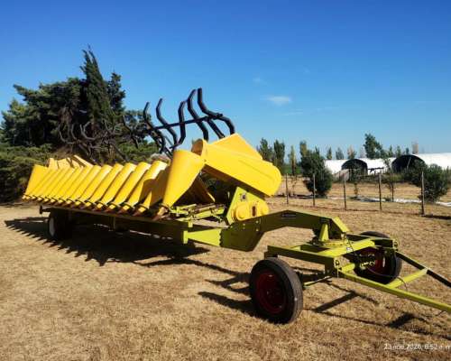 Maicero Allochis 14 a 52 cm con Molinete año 2014