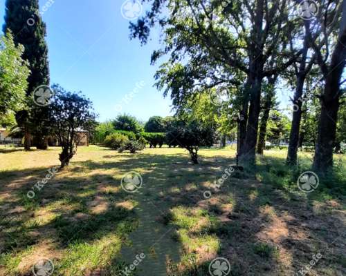 Chacra en Venta de 3,5 Has en Arturo Segui